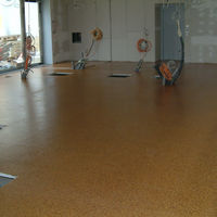 Beschichtung Literaturhaus Graz  15